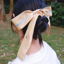 Load image into Gallery viewer, StephyDesignHK Fantasy travel Dual-purpose Crossbody Bag + Kitten Twilly / Clutch Bag 2-Piece Set