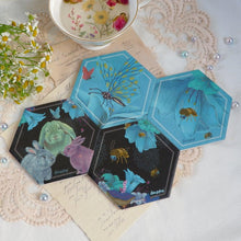 Load image into Gallery viewer, Coasters-Stephydesignhk