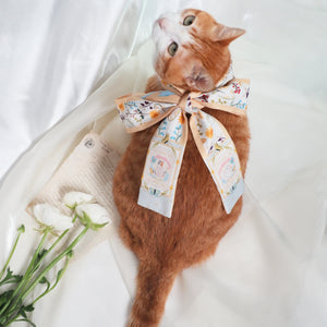 貓咪午休時光長絲巾飄帶禮盒配絲巾扣禮盒套裝